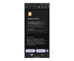 Fake e-commerce website fraud